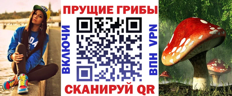 Псилоцибиновые грибы GOLDEN TEACHER  Тутаев 